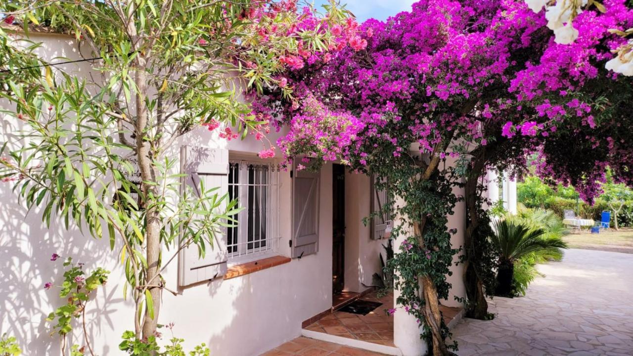 Villa Provencale A Sainte Maxime, Golf De Saint Tropez Bagian luar foto