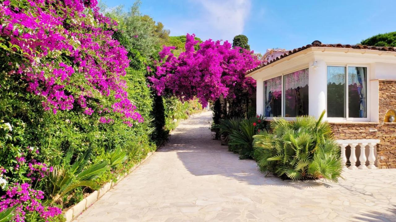Villa Provencale A Sainte Maxime, Golf De Saint Tropez Bagian luar foto