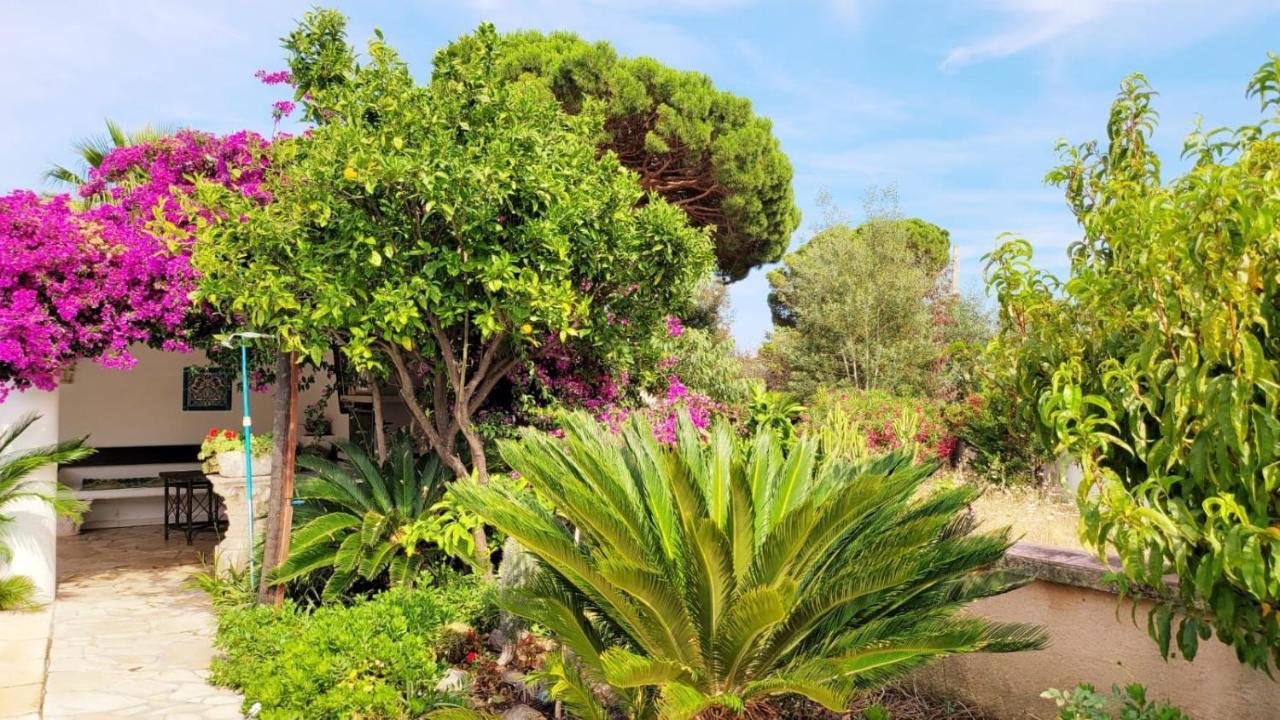 Villa Provencale A Sainte Maxime, Golf De Saint Tropez Bagian luar foto