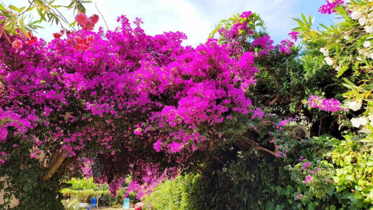 Villa Provencale A Sainte Maxime, Golf De Saint Tropez Bagian luar foto
