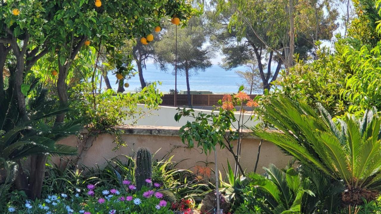 Villa Provencale A Sainte Maxime, Golf De Saint Tropez Bagian luar foto