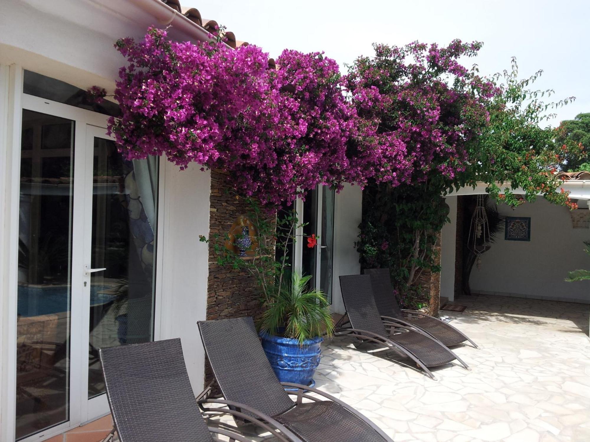 Villa Provencale A Sainte Maxime, Golf De Saint Tropez Bagian luar foto