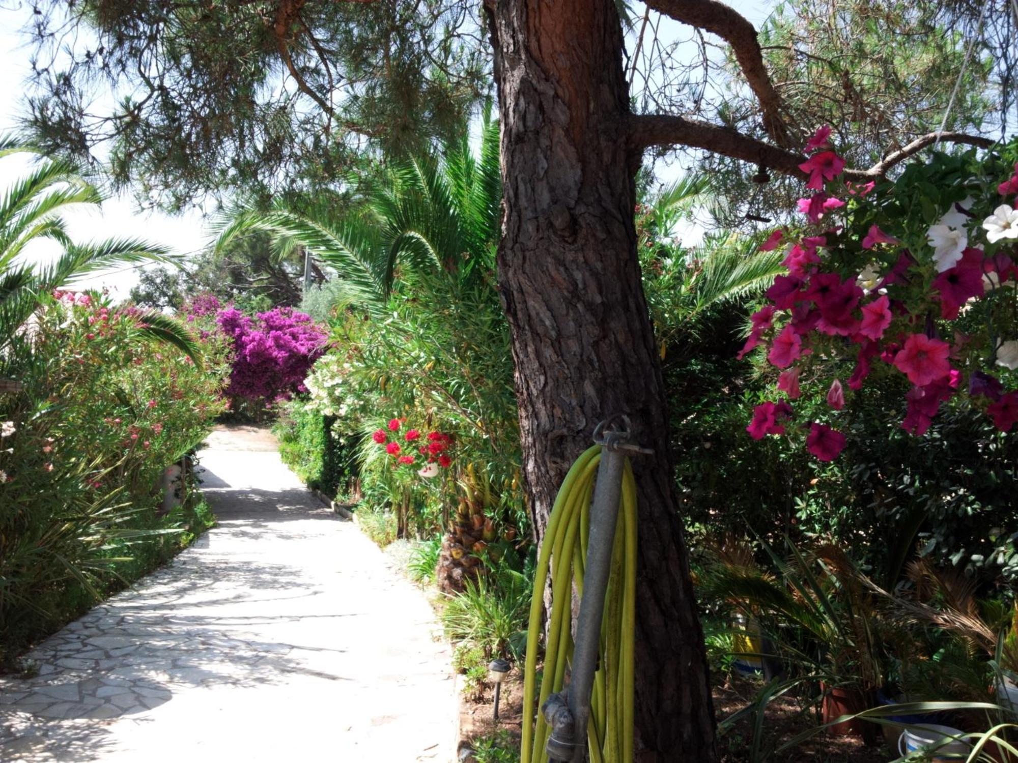Villa Provencale A Sainte Maxime, Golf De Saint Tropez Bagian luar foto