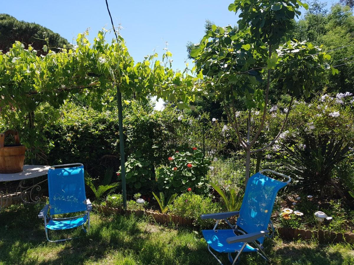 Villa Provencale A Sainte Maxime, Golf De Saint Tropez Bagian luar foto